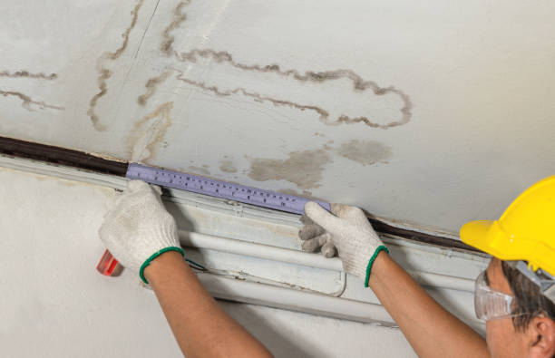 Affordable Water Damage Repair solutions in Henlawson, WV